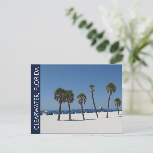 Clearwater Beach FL Postkarte (Stehend Vorderseite)