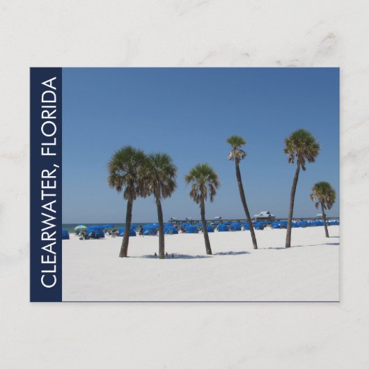 Clearwater Beach FL Postkarte (Vorderseite)