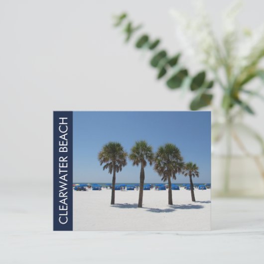 Clearwater Beach FL Postkarte (Stehend Vorderseite)