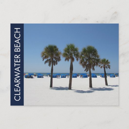 Clearwater Beach FL Postkarte (Vorderseite)