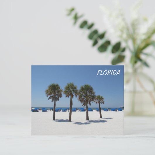 Clearwater Beach FL Postkarte (Stehend Vorderseite)