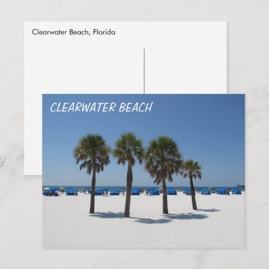 Clearwater Beach FL Postkarte (Vorne/Hinten)