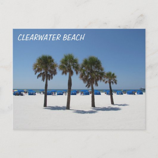 Clearwater Beach FL Postkarte (Vorderseite)