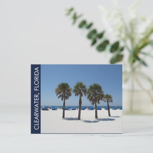 Clearwater Beach FL Postkarte (Stehend Vorderseite)