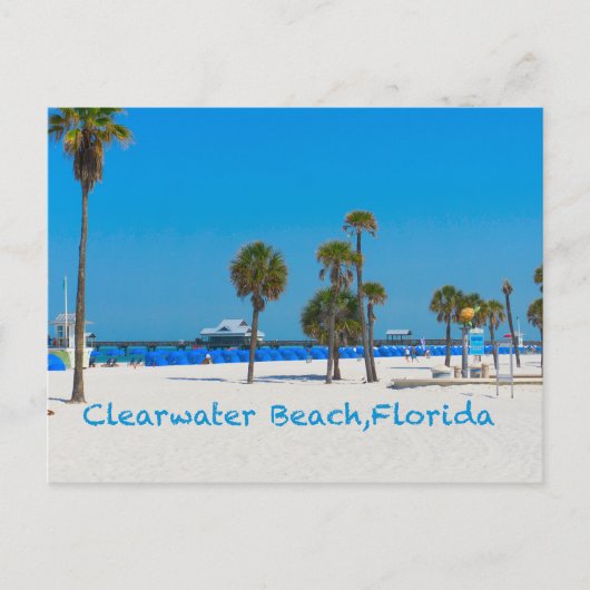 Clearwater Beach Florida Post Card Postkarte (Vorderseite)