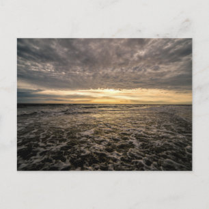 Clearwater Beach, Florida Postkarte