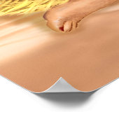 Clearwater Beach Florida Travel Poster Sea Eagle (Ecke)