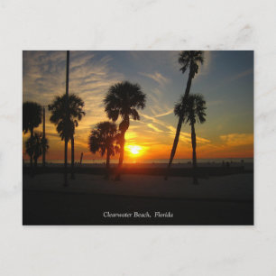 Clearwater Beach Sunset Postcard Postkarte