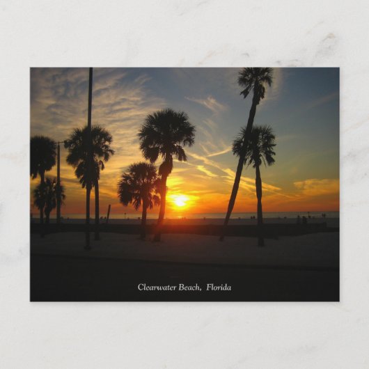Clearwater Beach Sunset Postcard Postkarte (Vorderseite)