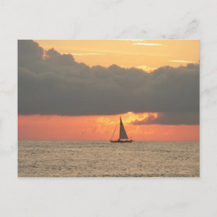 Clearwater Beach Sunset Postcard Postkarte