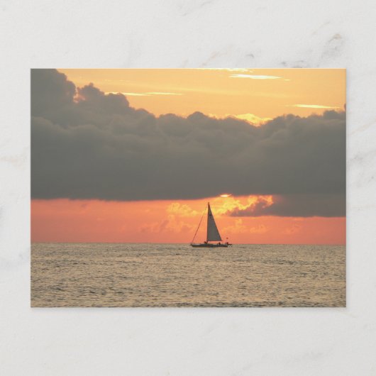 Clearwater Beach Sunset Postcard Postkarte (Vorderseite)