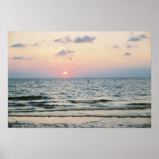 Clearwater Beach Sunset Poster (Vorne)