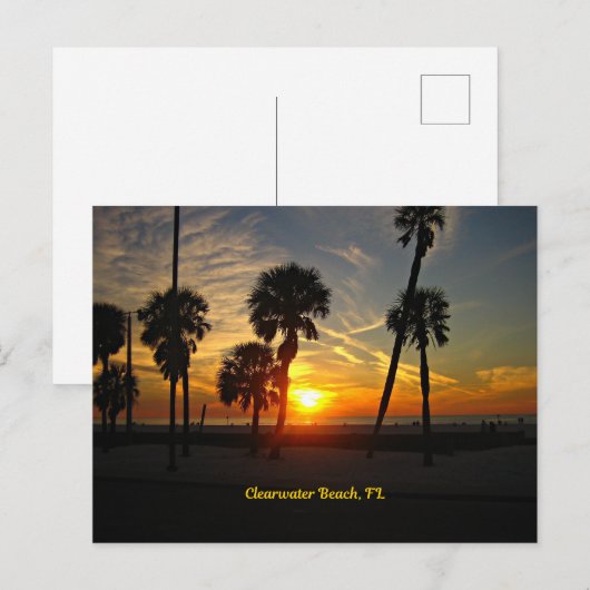 Clearwater Beach Sunset Postkarte (Vorne/Hinten)