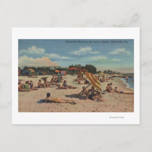 Clearwater, FL - Sunbathers am Clearwater Beach Postkarte