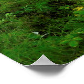 Clearwater River Trail Poster (Ecke)