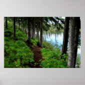 Clearwater River Trail Poster (Vorne)