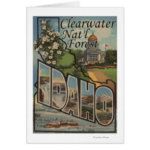 Clearwater staatlicher Wald, Idaho