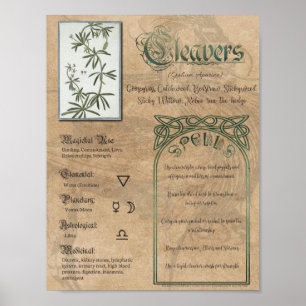 Cleavers Herbal Buch der Schatten Pagan Wiccan Poster