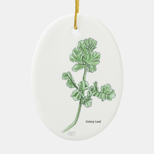 Clelery Leaf Ornament (Vorne)