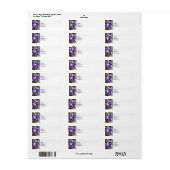 Clematian einer Steinmauer (Vorne)