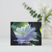 Clematics Blume Kindness Inspiration Zitat Postkarte (Stehend Vorderseite)