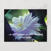 Clematics Blume Kindness Inspiration Zitat  Postkarte (Vorderseite)
