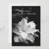 Clematis2a Dewdrops-Begräbnis- Einladung (Vorderseite)