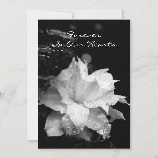 Clematis2a Dewdrops-Begräbnis- Einladung (Vorderseite)