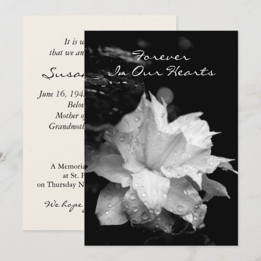 Clematis2a Dewdrops-Begräbnis- Einladung (Vorne/Hinten)