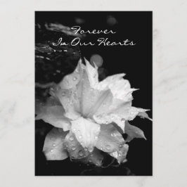 Clematis2a Dewdrops-Begräbnis- Einladung