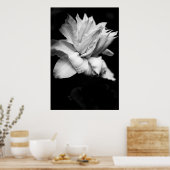 Clematis 1 Schwarz-Weiß-Blumenfotografie Poster (Küche)