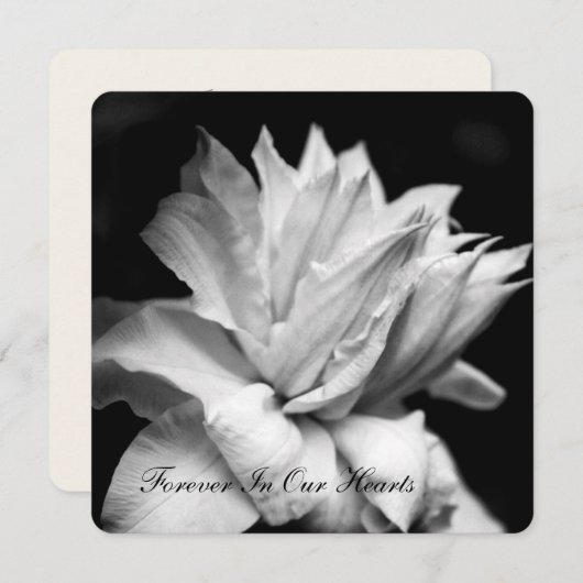 Clematis 1b Ankündigung zur Beerdigung (Vorne/Hinten)