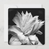 Clematis 1b Ankündigung zur Beerdigung (Vorderseite)