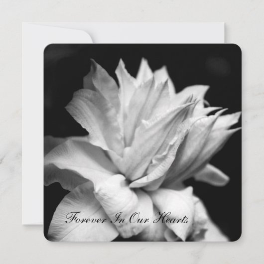 Clematis 1b Ankündigung zur Beerdigung (Vorderseite)