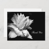 Clematis 1c Memorial Beileid Vielen Dank Postcard Postkarte (Vorne/Hinten)