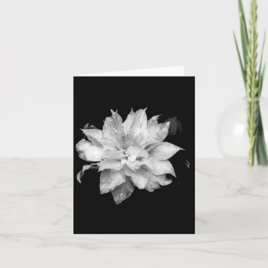 Clematis 2 Beileid mit leerer Note Card Condolence Dankeskarte (Vorderseite)