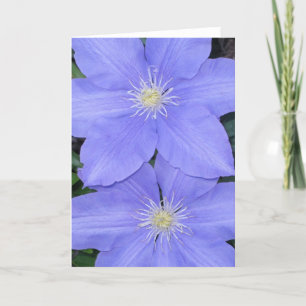 Clematis 2 Note Card Karte