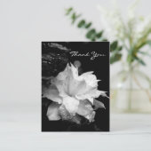 Clematis 2a Floral BW Foto Beileid Vielen Dank Postkarte (Stehend Vorderseite)