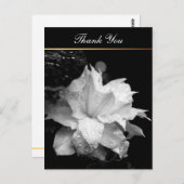 Clematis 2c Floral BW Foto Beileid Vielen Dank Postkarte (Vorne/Hinten)