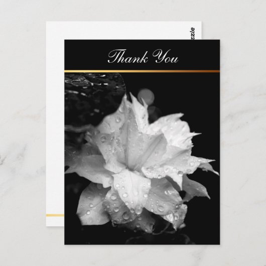 Clematis 2c Floral BW Foto Beileid Vielen Dank Postkarte (Vorne/Hinten)