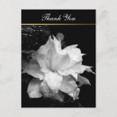Clematis 2c Floral BW Foto Beileid Vielen Dank Postkarte (Vorderseite)