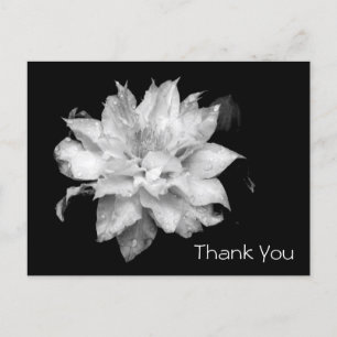 Clematis 3b Memorial Beileid Vielen Dank Postcard Postkarte