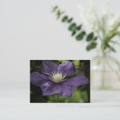 Clematis 8510 Mini Print Visitenkarte (Stehend Vorderseite)