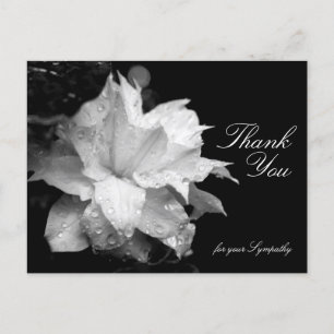 Clematis and Dewdrops Beileid Vielen Dank P Postkarte