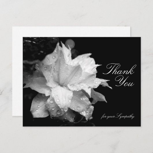 Clematis and Dewdrops Beileid Vielen Dank P Postkarte (Vorne/Hinten)