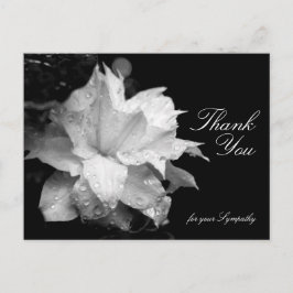 Clematis and Dewdrops Beileid Vielen Dank P Postkarte