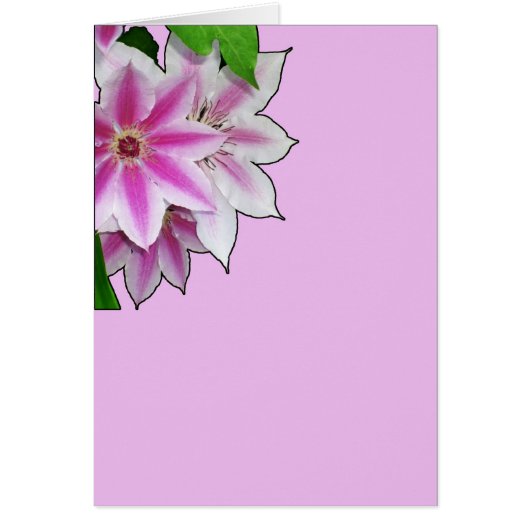 Clematis Blume Design auf Lavendel (Vorne)