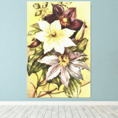 Clematis Blume Growers Botanische Kunst Leinwanddruck (Insitu (Holzboden))