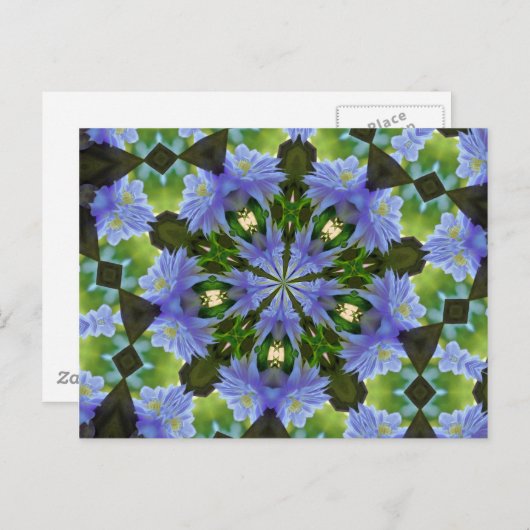 Clematis Blume Kaleidoskop Postcard Postkarte (Vorne/Hinten)