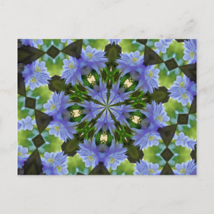 Clematis Blume Kaleidoskop Postcard Postkarte